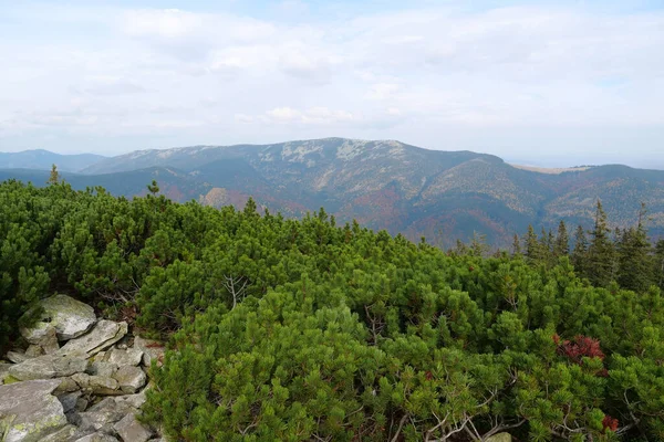 Gorgany Mountain Range Western Ukraine Outer Eastern Carpathians Adjacent Chornohora — Stock Photo, Image