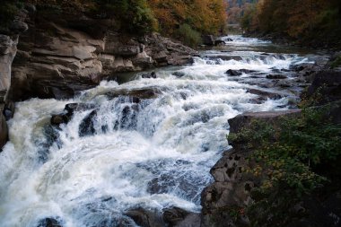 Güzel, güçlü bir şelale. Yaremche şehrinde Probiy şelalesi ve Prut nehri, batı Ukrayna