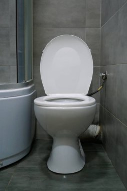 Tuvaletin içi beyaz klozet, duş kabini ve gri duvar kiremitleriyle dolu.