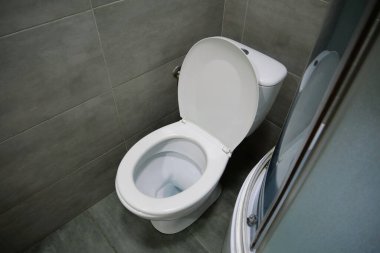 Tuvaletin içi beyaz klozet, duş kabini ve gri duvar kiremitleriyle dolu.