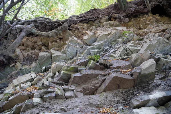 乌克兰喀尔巴阡山脉普鲁特河附近的石子 Yaremche褶皱 欧洲Stryi组最大的露头 在这里 这种岩层的岩石是褶皱和断陷的 哥特式的或绳状的 — 图库照片