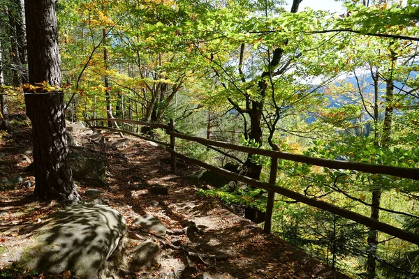 Stock image Dovbush path - route through wooded mountain slopes, rises up to rock massifs Dovbush Rocks near Yaremche, Ukraine. Dovbush path was created in memory of great leader of Opryshky, Oleksa Dovbush