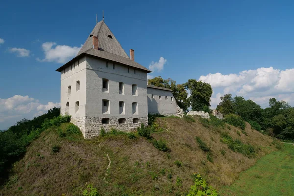 Castle 14Th Century Halych City Dniester River Western Ukraine City —  Fotos de Stock