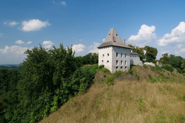 Castle 14Th Century Halych City Dniester River Western Ukraine City — Stock Photo, Image