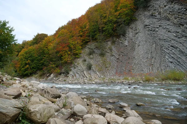 Prut Río Pliegues Montaña Yaremche Ucrania Conocido Como Pliegues Yaremche Fotos de stock libres de derechos