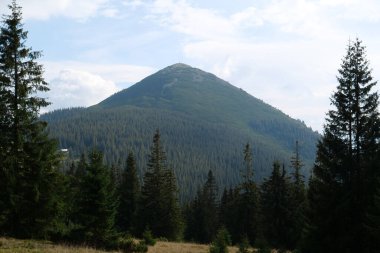 Gorgany - Batı Ukrayna 'da, Doğu Karpatlar' da, Chornohora sınırına yakın bir dağ sırası. 1542 metre Hamster Mount 'a bakın.