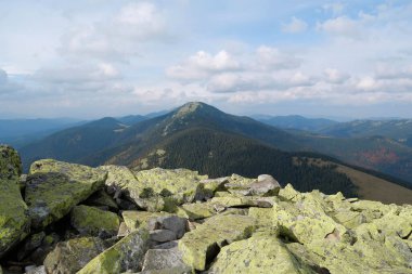 Gorgany 'de sarı liken taşları. Batı Ukrayna' da Chornohora sınırına komşu Doğu Karpatlar 'daki dağ sıraları. Hamster Dağı 'ndan görüntü, 1542 metre Syniak Dağı' na, 1665 metre.