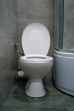 Tuvaletin içi beyaz klozet, duş kabini ve gri duvar kiremitleriyle dolu.