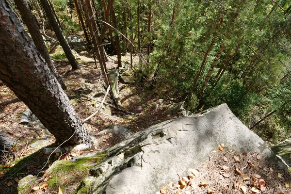 Dovbush路径 穿过森林覆盖的山坡的路线 上升到乌克兰Yaremche附近的岩石群Dovbush Rocks Dovbush路径是为了纪念Opryshky的伟大领袖Oleksa Dovbush而创建的 — 图库照片
