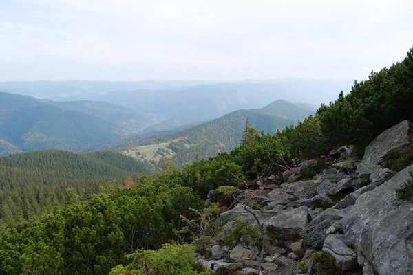 Stock image Gorgany - mountain range in Western Ukraine in Outer Eastern Carpathians, adjacent to Chornohora range. Panoramic view from Hamster mount