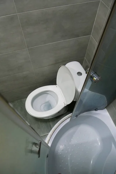 Toilet Room Interior White Toilet Bowl Shower Cabin Grey Wall — Stok fotoğraf