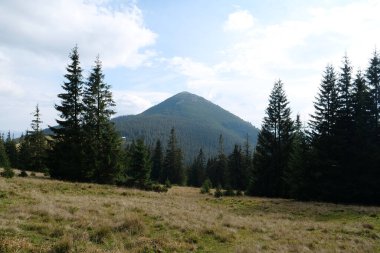 Gorgany - Batı Ukrayna 'da, Doğu Karpatlar' da, Chornohora sınırına yakın bir dağ sırası. 1542 metre Hamster Mount 'a bakın.