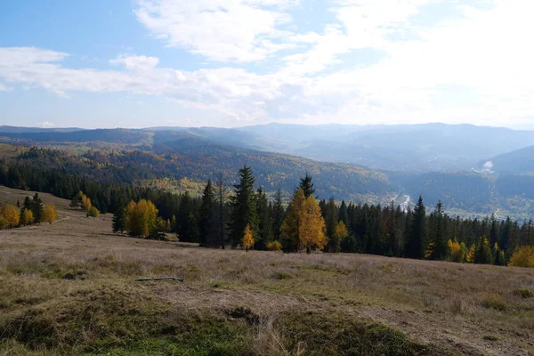 Prachtig Herfstbos Karpaten Verbazingwekkende Natuur Van Oekraïense Karpaten — Stockfoto