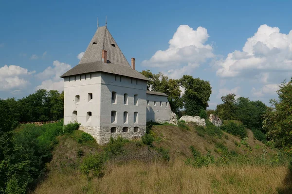 Castle 14Th Century Halych City Dniester River Western Ukraine City — Zdjęcie stockowe