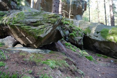 Ukrayna 'nın Yaremche şehri yakınlarındaki Dovbush Kayalıkları. Dovbush yolu - ormanlı dağ yamaçlarından geçerek, kaya yığınlarına kadar yükselir. Dovbush yolu Opryshky 'nin büyük lideri Oleksa Dovbush' un anısına yapıldı.