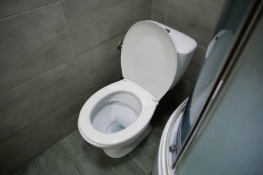 Tuvaletin içi beyaz klozet, duş kabini ve gri duvar kiremitleriyle dolu.