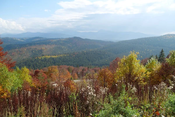 Bela Floresta Outono Nas Montanhas Dos Cárpatos Natureza Surpreendente Cárpatos — Fotografia de Stock