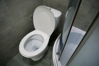 Tuvaletin içi beyaz klozet, duş kabini ve gri duvar kiremitleriyle dolu.