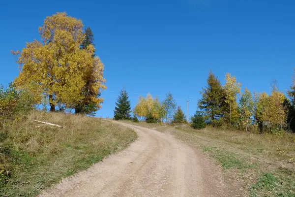 Красивый Осенний Лес Карпатах Удивительная Природа Украинских Карпат — стоковое фото