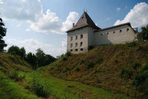 Burg Aus Dem Jahrhundert Halych Stadt Dnjestr Westukraine Stadt Gab — Stockfoto