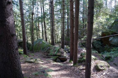 Dovbush yolu. Ormanlık dağ yamaçlarından geçerek Ukrayna 'nın Yaremche yakınlarındaki Dovbush Kayalıkları' na çıkıyor. Dovbush yolu Opryshky 'nin büyük lideri Oleksa Dovbush' un anısına yapıldı.