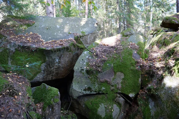 Dovbush Rocks Perto Cidade Yaremche Ucrânia Caminho Arbusto Rota Através — Fotografia de Stock