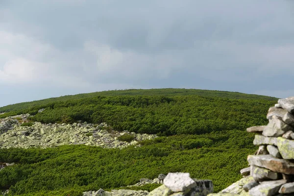Πέτρες Καλυμμένες Κίτρινες Λειχήνες Στο Gorgany Οροσειρά Στη Δυτική Ουκρανία — Φωτογραφία Αρχείου