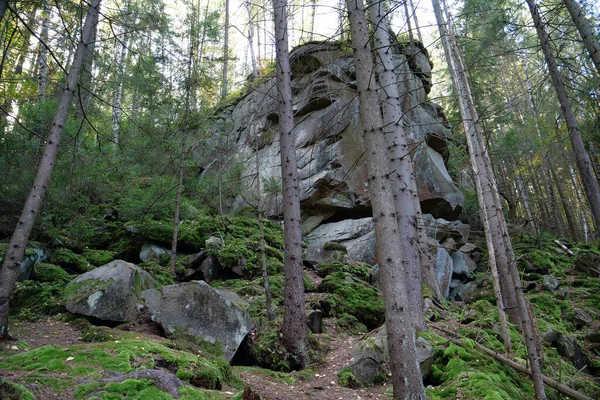 ウクライナのヤレムチェ市近くのダブッシュ岩 ダブッシュの道 森林に覆われた山の斜面を通るルートは 岩塊まで上昇します Opryshky Oleksa Dovbushの偉大な指導者を記念して作成されました — ストック写真