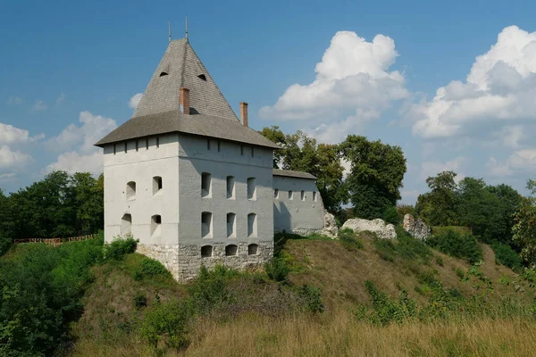Замок Xiv Века Галиче Город Днестре Западная Украина Город Дал — стоковое фото
