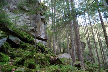 Ukrayna 'nın Yaremche şehri yakınlarındaki Dovbush Kayalıkları. Dovbush yolu - ormanlı dağ yamaçlarından geçerek, kaya yığınlarına kadar yükselir. Dovbush yolu Opryshky 'nin büyük lideri Oleksa Dovbush' un anısına yapıldı.