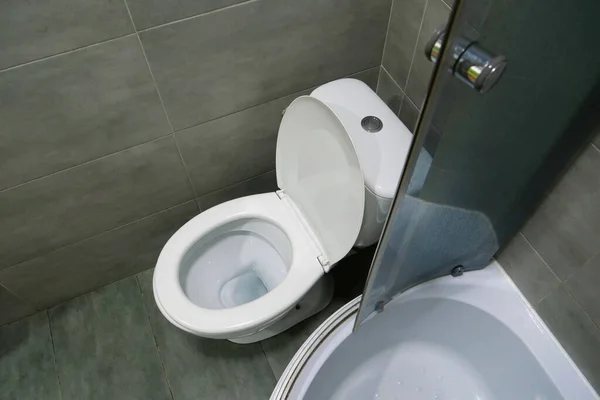 Toilet Room Interior White Toilet Bowl Shower Cabin Grey Wall — Stok fotoğraf