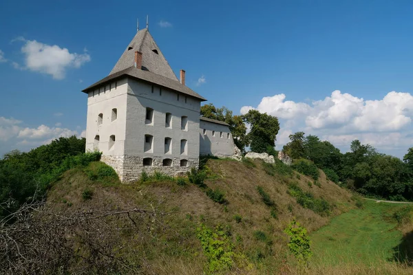 Castle 14Th Century Halych City Dniester River Western Ukraine City — ストック写真