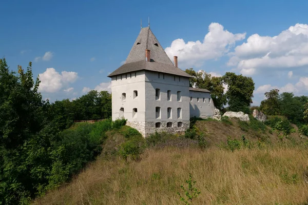 세기에 우크라이나 드네프르강에 성이었습니다 도시의 이름은 갈리시아의 역사적 Halych 리치아 — 스톡 사진
