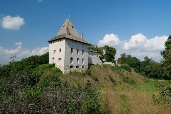 14世纪的城堡 位于乌克兰西部德涅斯特河畔的哈里奇市 该市得名于Halych公国 历史上有名的加利西亚或Halychyna省和加利西亚 沃利斯尼亚王国 — 图库照片