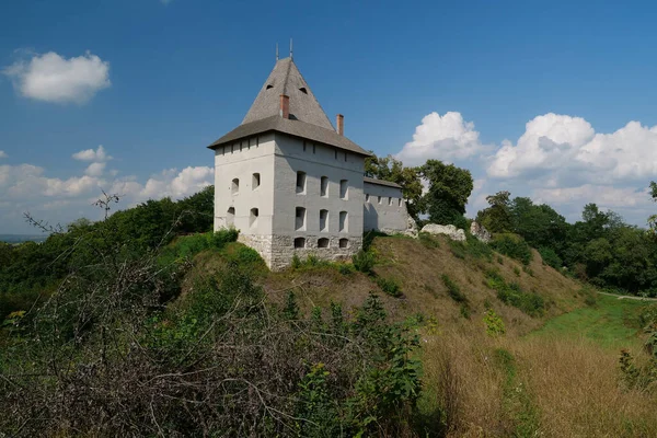 Замок Xiv Века Галиче Город Днестре Западная Украина Город Дал — стоковое фото