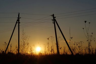 Elektrik hatları ve çayırda güzel bir akşam güneşi.