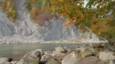 Güzel sonbahar vahşi doğası. Prut nehri ve dağ, Yaremche City, Karpatlar, Batı Ukrayna 'da katlanır. Yaremche kıvrımları olarak bilinir. Avrupa' nın en büyük Stryi oluşumu.