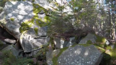 Ukrayna 'nın Yaremche şehri yakınlarındaki Dovbush Kayalıkları. Dovbush yolu Opryshky 'nin büyük lideri Oleksa Dovbush' un anısına yapıldı. Dovbush yolu - ormanlı dağ yamaçlarında yol, kaya yığınlarına kadar yükselir