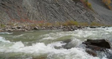 Hızlı akıntılı güzel bir dağ nehri. Prut nehri ve dağ, Yaremche City, Ukrayna 'da katlanır. Yaremche kıvrımları olarak bilinir. Avrupa' da Stryi oluşumunun en büyük çıkıntısı.
