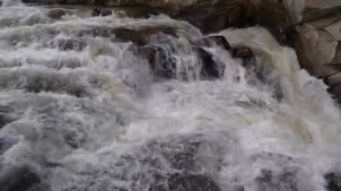 Prut Nehri 'nde Probiy Şelalesi, Yaremche City, batı Ukrayna. Ukrayna Karpatlarının en güzel ve güçlü şelalelerinden biridir.