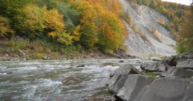 Hızlı akıntılı bir dağ nehri. Prut nehri ve dağ, Yaremche City, Ukrayna 'da katlanır. Yaremche kıvrımları olarak bilinir.