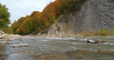 Hızlı akıntılı güzel bir dağ nehri. Prut nehri ve dağ, Yaremche City, Ukrayna 'da katlanır. Yaremche kıvrımları olarak bilinir. Avrupa' da Stryi oluşumunun en büyük çıkıntısı.