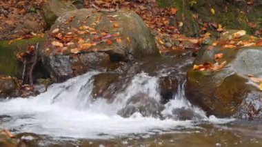 Dağlardaki güzel dere, Ukrayna 'daki Karpat Dağları' nın vahşi sonbahar doğası. UHD 4K 60fps Bir dakika rahat video ses ile