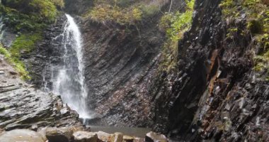 Zhenetskyi Huk ya da Huk Şelalesi, Karpatlar Ulusal Parkı 'ndaki Zhenets nehri, Gorgany dağ sırtı, Ukrayna' nın batısındaki Ivano-Frankivsk Oblastı 'nda yer almaktadır.