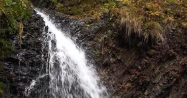 Zhenetskyi Huk ya da Huk şelalesi, Karpat Ulusal Parkı 'ndaki Zhenets nehri, Gorgany dağ sırtı, batı Ukrayna. Sinema 4K 60 fps sesli video