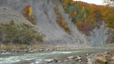 Hızlı akıntılı güzel bir dağ nehri. Prut nehri ve dağ Ukrayna 'nın Yaremche şehrinde kıvrılır.