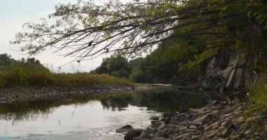 Taş kıyıları olan küçük güzel bir nehir, nehrin üzerine eğilen bir ağaç ve batan bir güneş. Solotvyn Nehri, Ukrayna 'nın batısındaki Ivano-Frankivsk Oblastı' nda yer alan bir nehirdir. Sinema 4K 60 fps sesli video