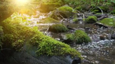 Güzel küçük bir nehir ve dağlarda batan güneşin ılık ışınları.