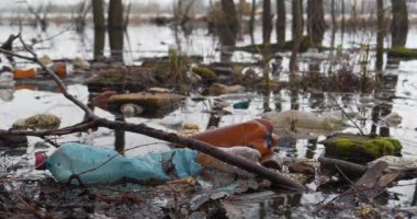 Göl kenarındaki plastik şişeler ve diğer çöpler, çevre kirliliği