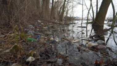 Plastik şişeler ve diğer çöpler gölün kıyısında, çevrenin kirliliği